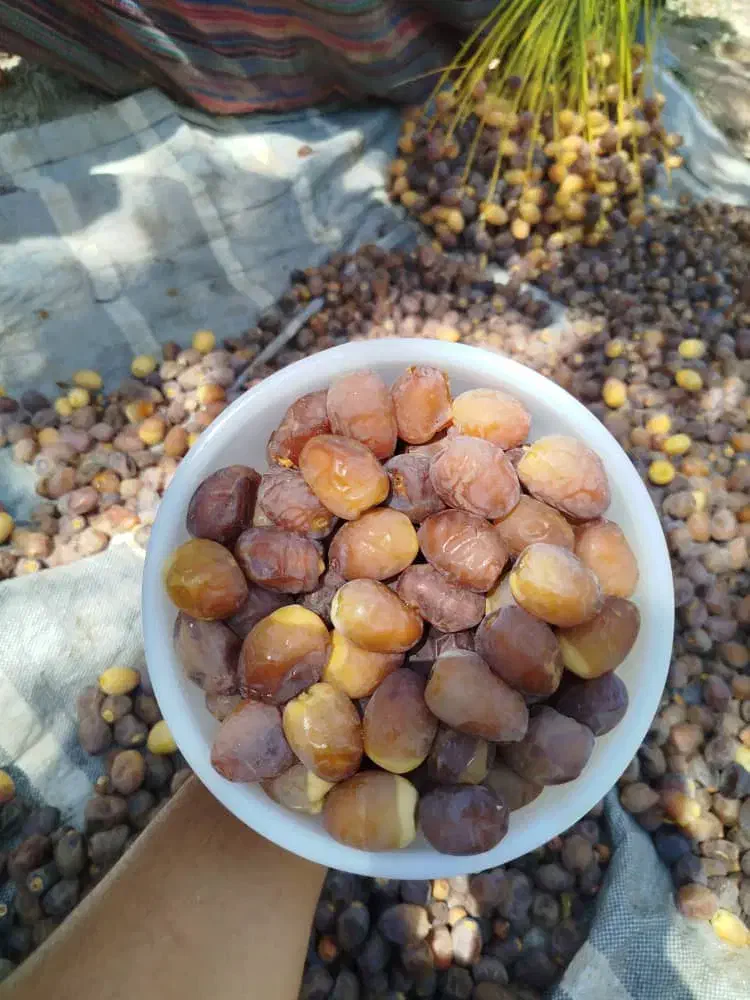 رطب برحی|خوردنی و آشامیدنی|تهران, آرژانتین|دیوار