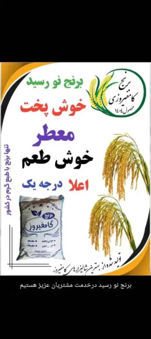 برنج کامفیروزی|خوردنی و آشامیدنی|آباده, |دیوار