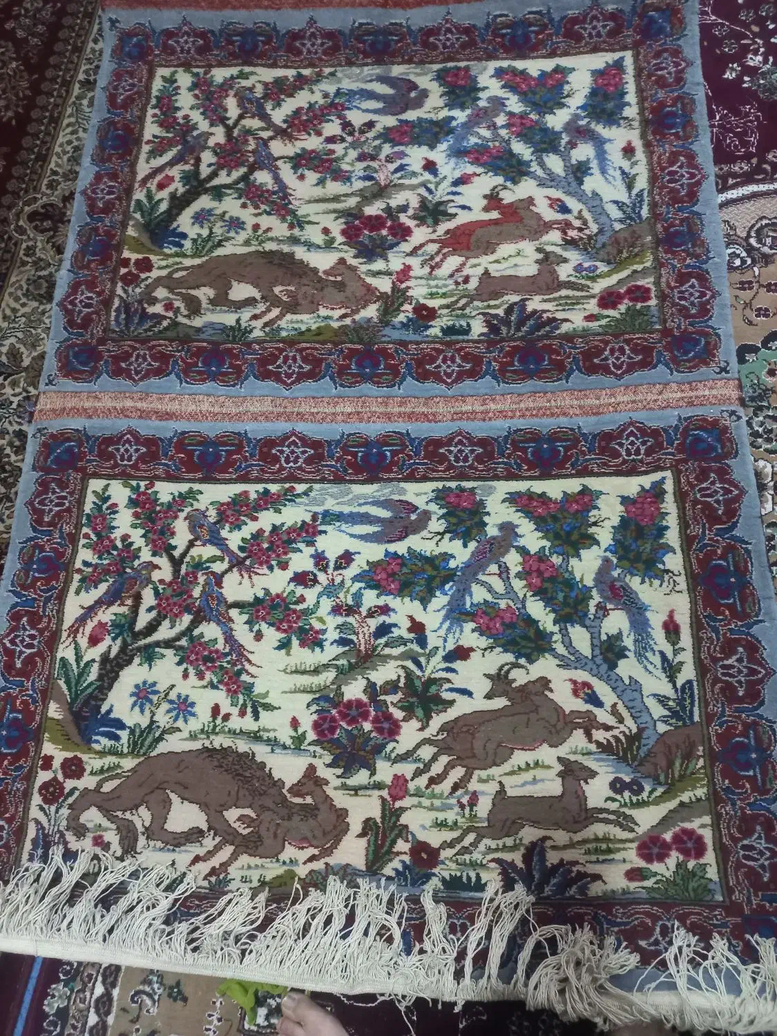 اثاثیه خونه|فرش|زاهدان, |دیوار