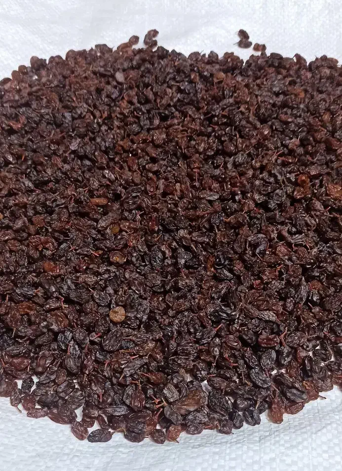 کشمش|خوردنی و آشامیدنی|کامیاران, |دیوار