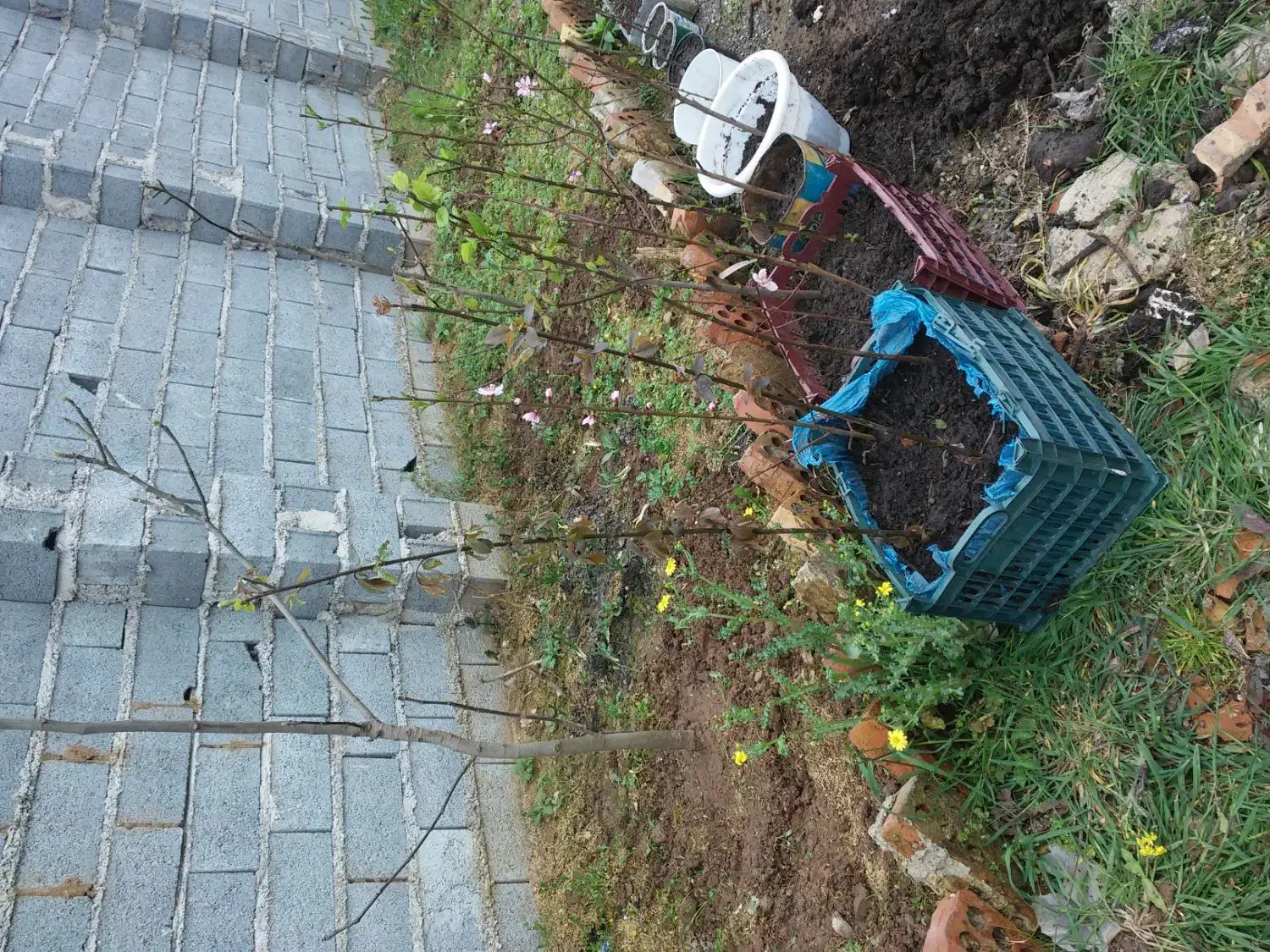 زمین مسکونی ۲۲۵متری احمدگوراب|فروش زمین و ملک کلنگی|رشت, احمد گوراب|دیوار