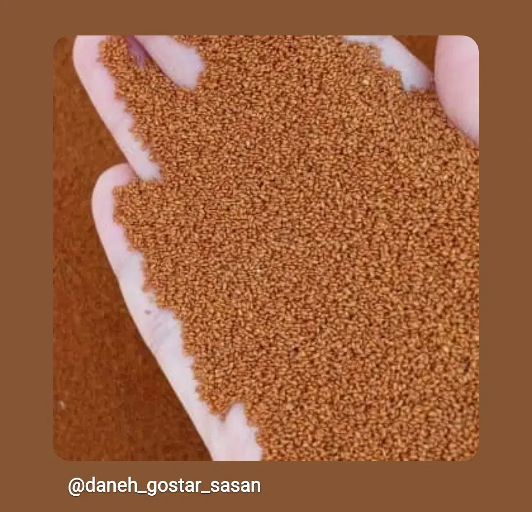 فروش بذر خاکشیر شیرین|حراج|شیراز, پودنک|دیوار