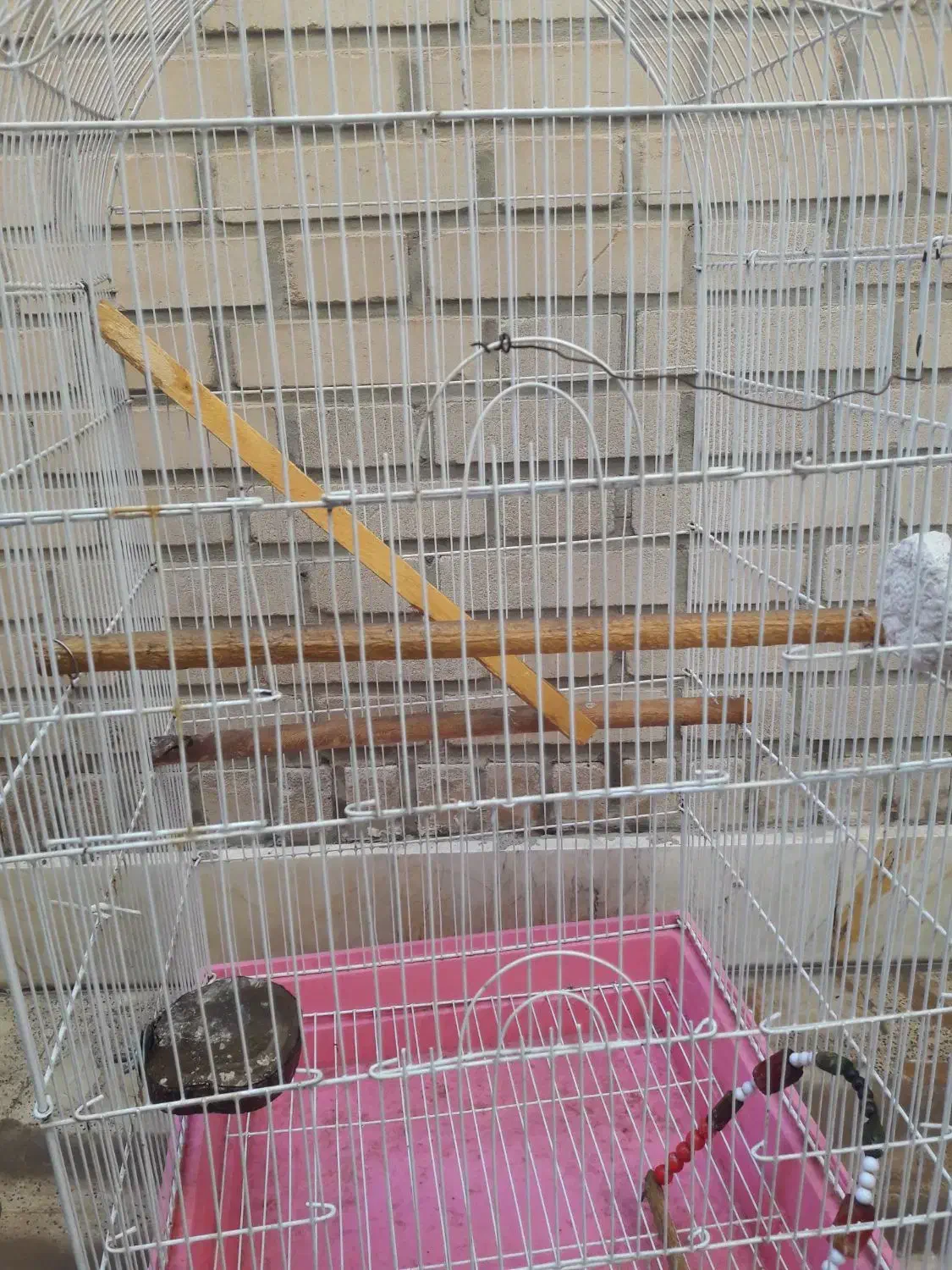 قفس سایزبزرگ 5درب پرنده|لوازم جانبی حیوانات|اهواز, بهارستان|دیوار