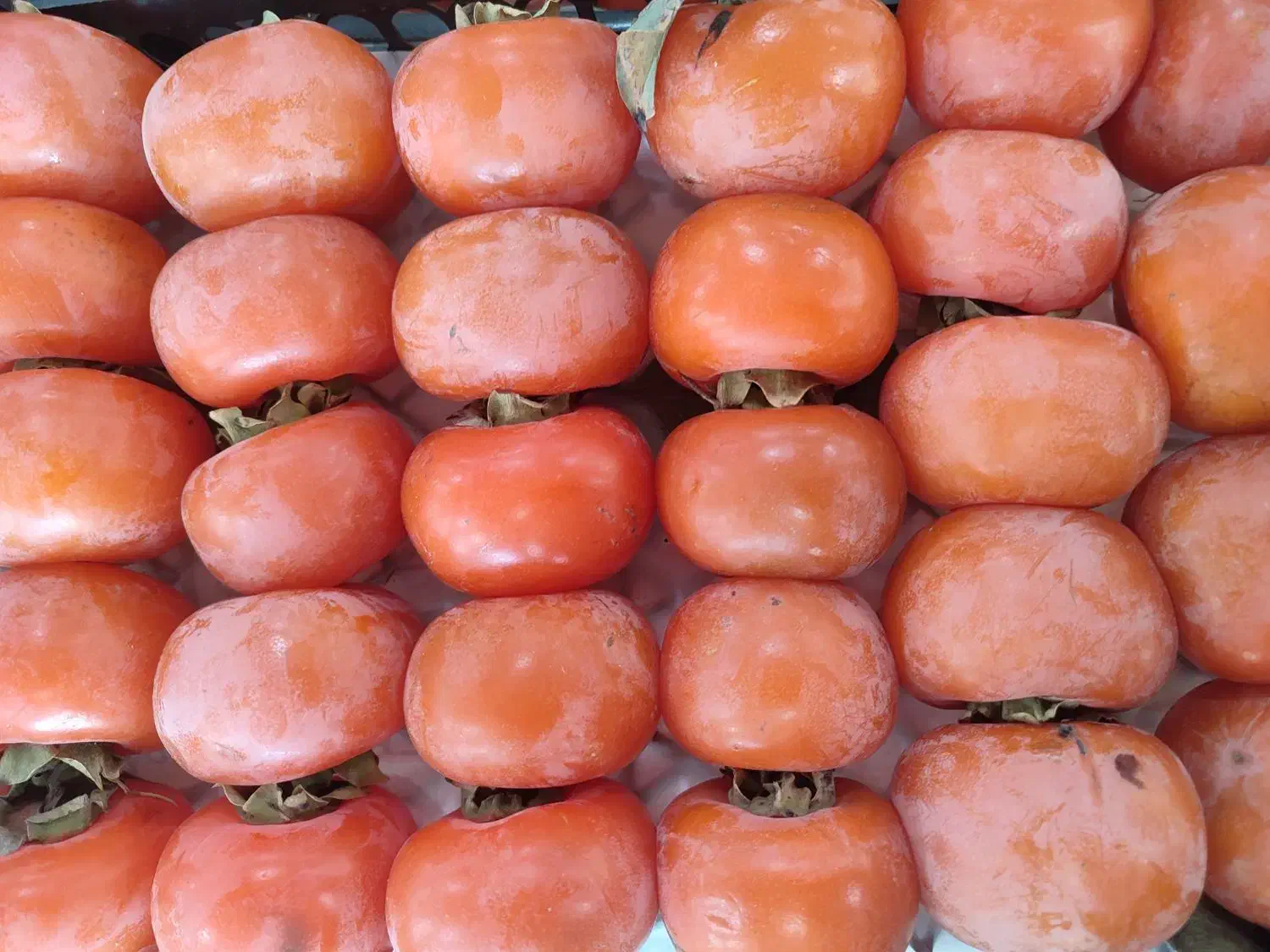 نیازمند فروشنده مغازه میوه فروشی|استخدام خدمات فروشگاه و رستوران|بندر گناوه, |دیوار