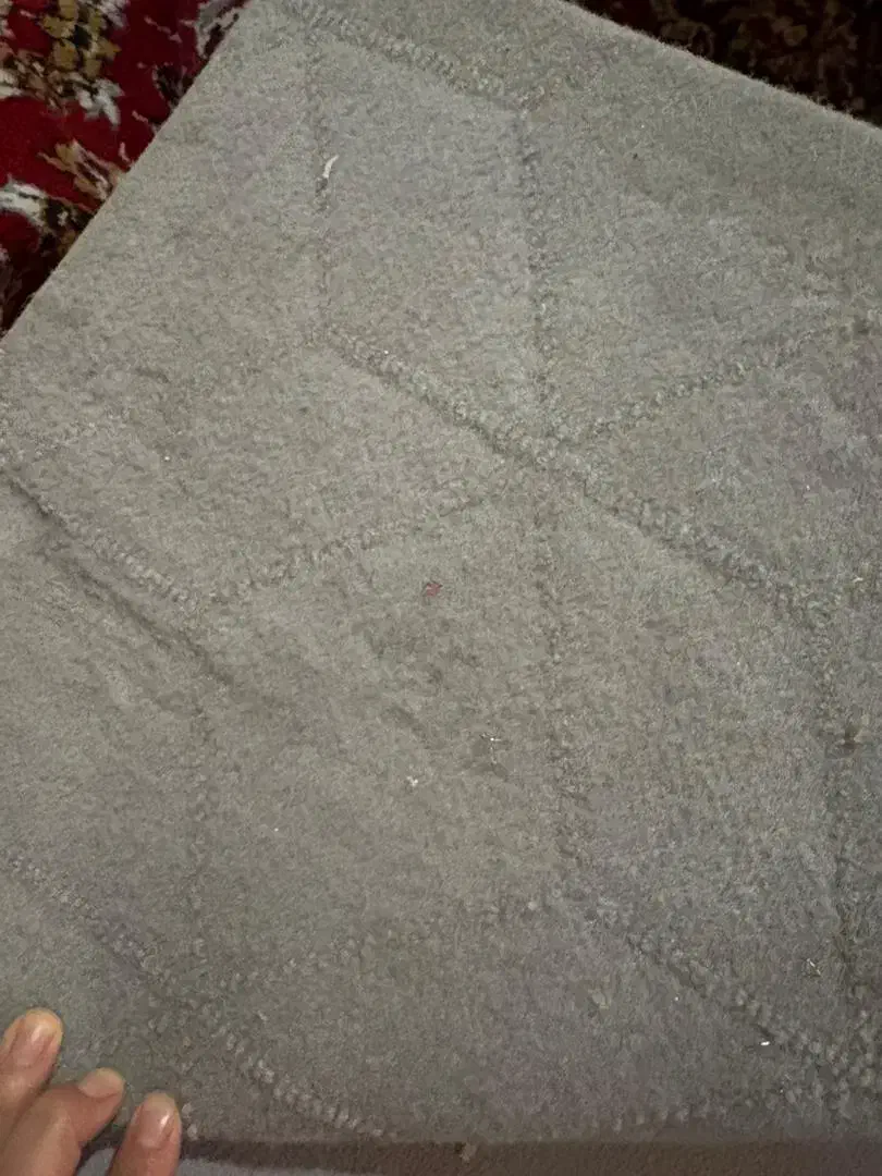 موکت|موکت|رباط‌کریم, الارد|دیوار