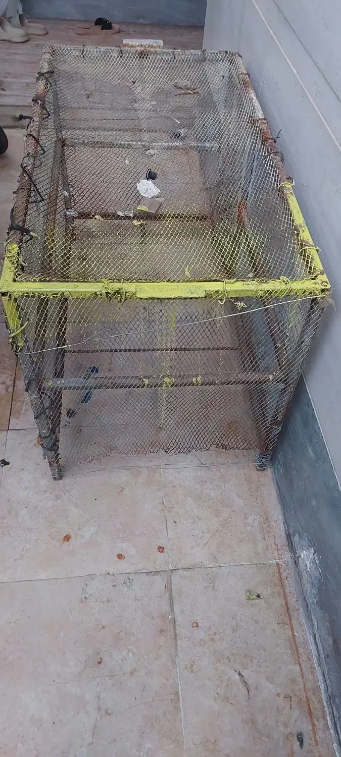 قفس فلزی محکم|لوازم جانبی حیوانات|امیدیه, |دیوار