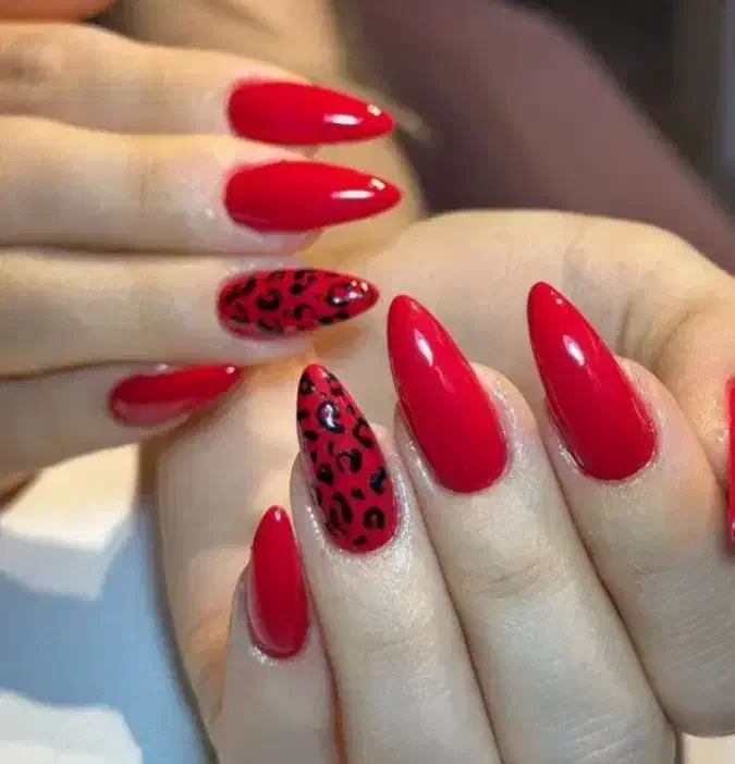 کاشت ناخن|خدمات آرایشگری و زیبایی|رشت, سلیمانداراب|دیوار