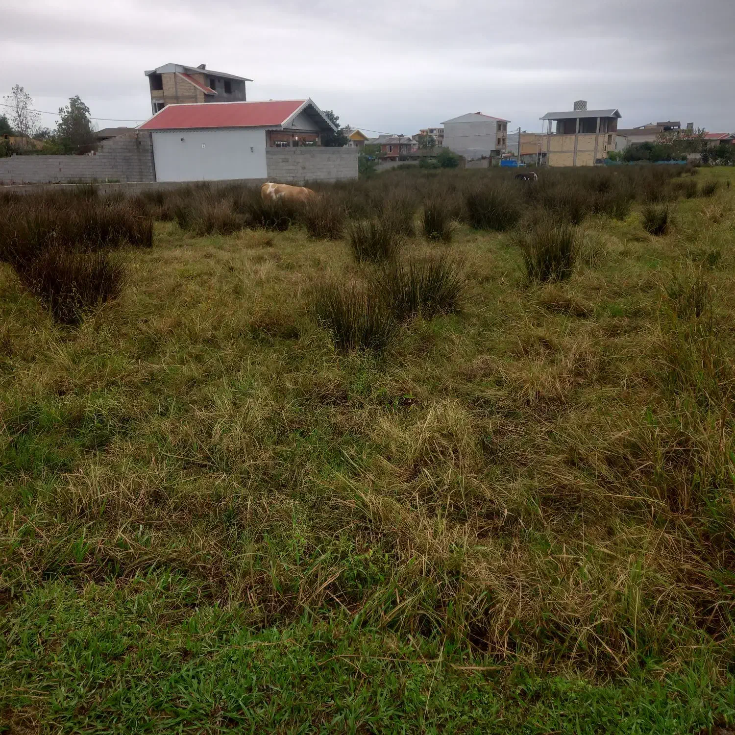 زمین فروشی وماوضه زمین باماشین وآپارتمان|پیشفروش املاک|تالش, هشتپر|دیوار