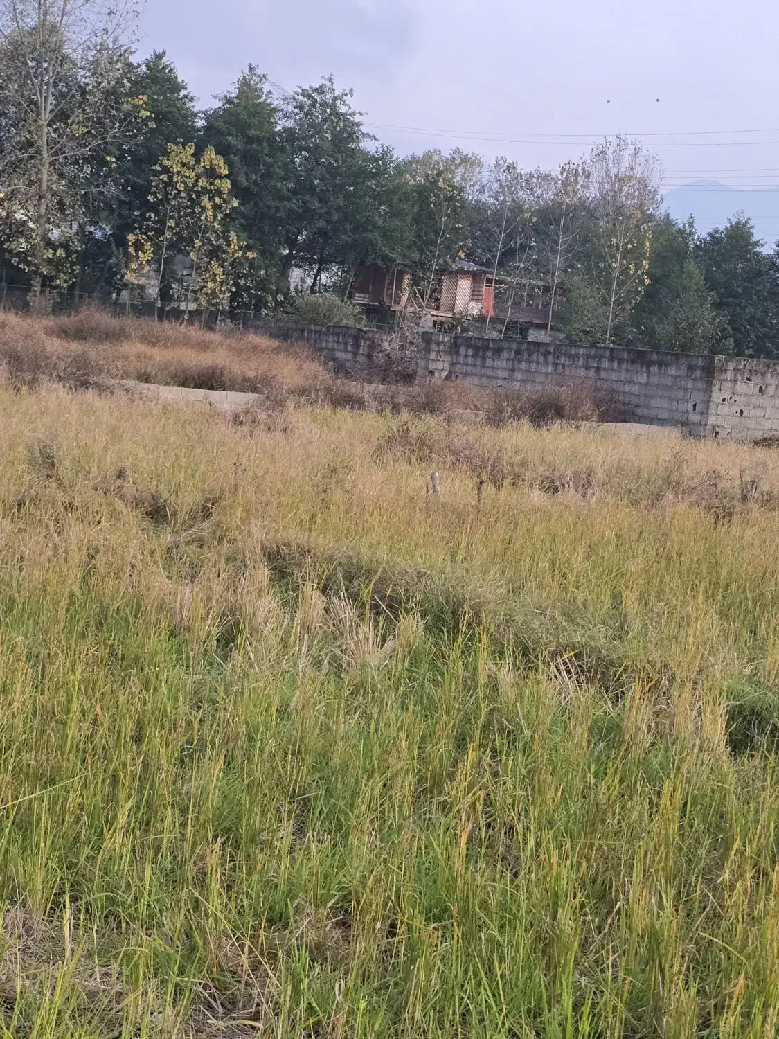 فروش زمین مزروعی چسبیده مسکونی|فروش زمین و ملک کلنگی|واجارگاه, |دیوار