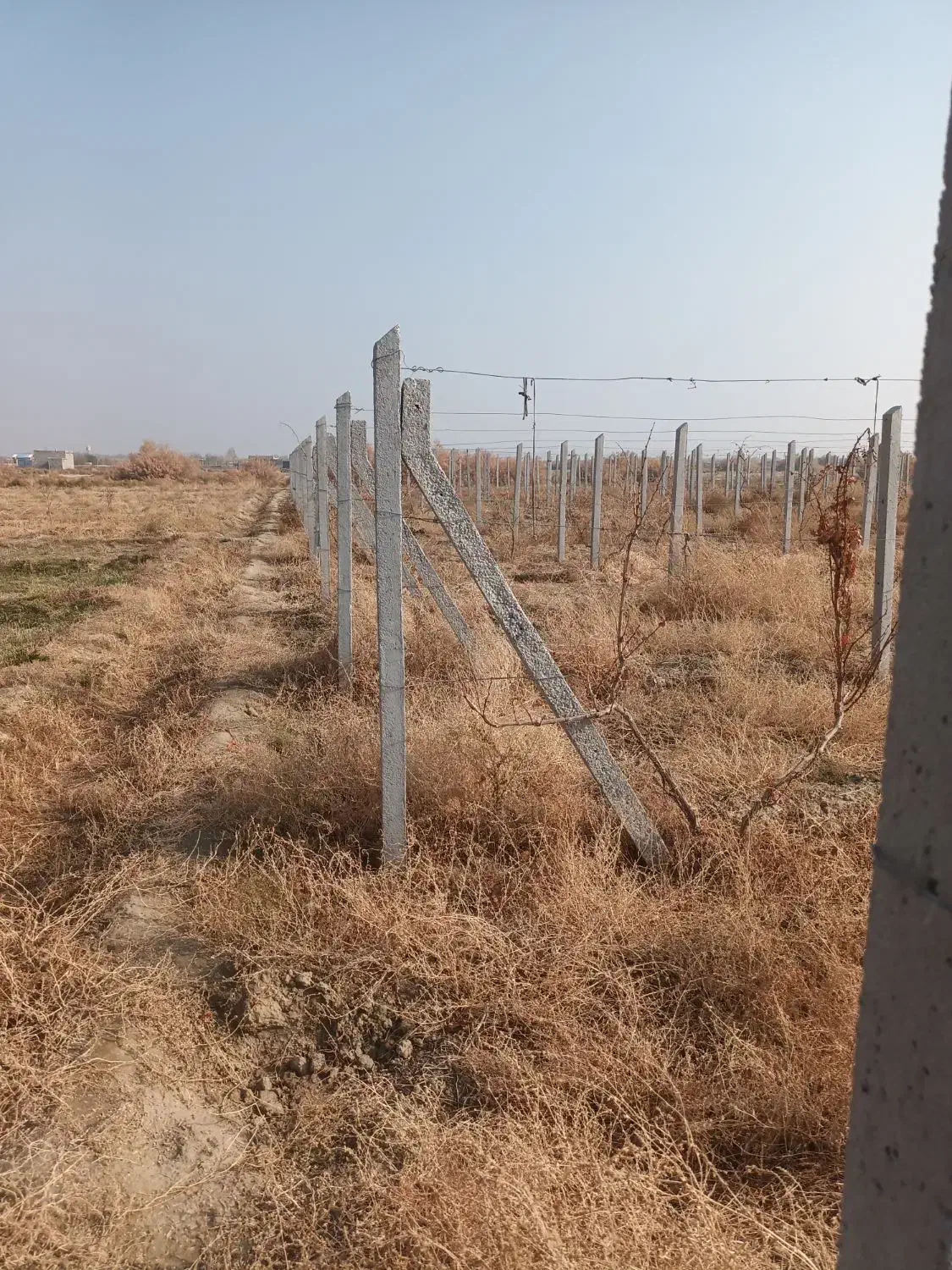 تیرچه باغی|مصالح و تجهیزات ساختمان|نوشین شهر, |دیوار