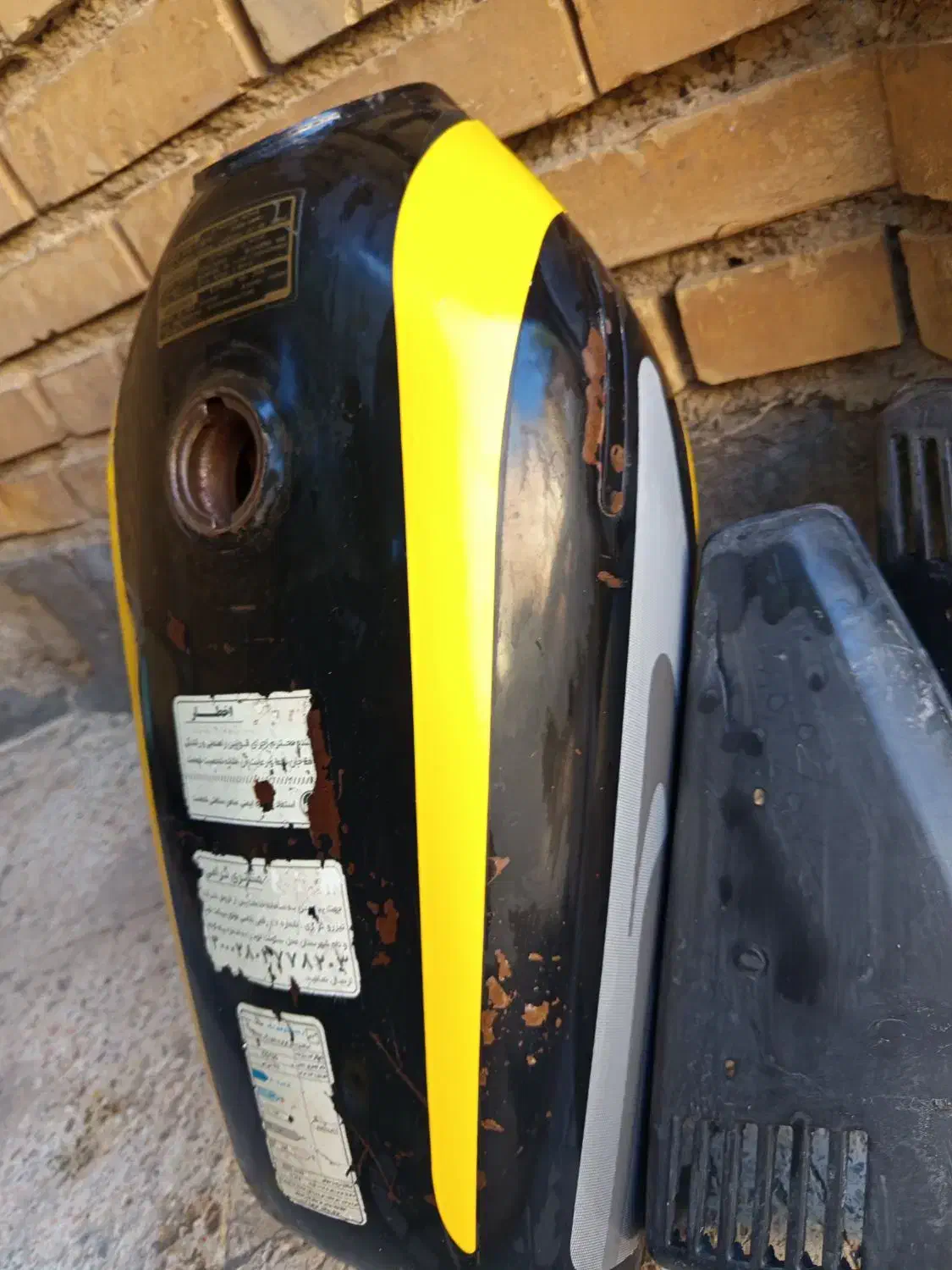 کفتر|پرنده|خرمشهر, |دیوار