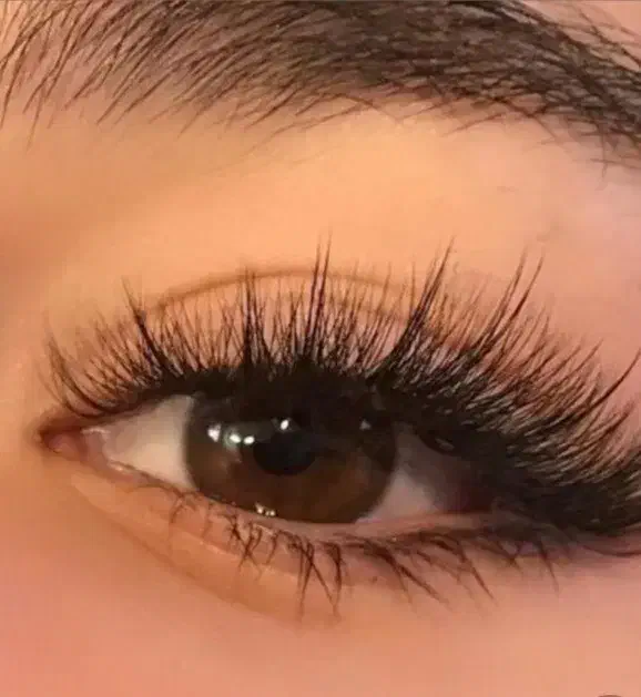 کاشت گیاهی تخفیف۳۰٪|خدمات آرایشگری و زیبایی|سنندج, |دیوار