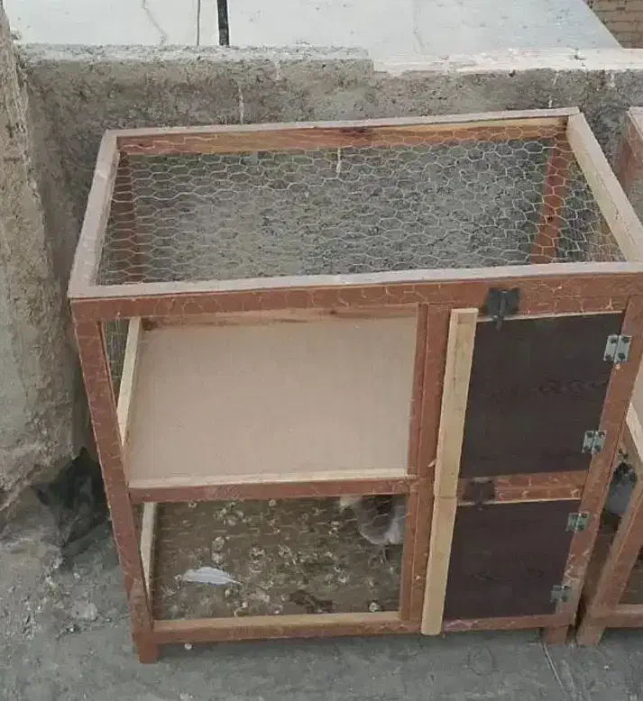 قفس چوبی|لوازم جانبی حیوانات|مشهد, شهرک بهارستان|دیوار