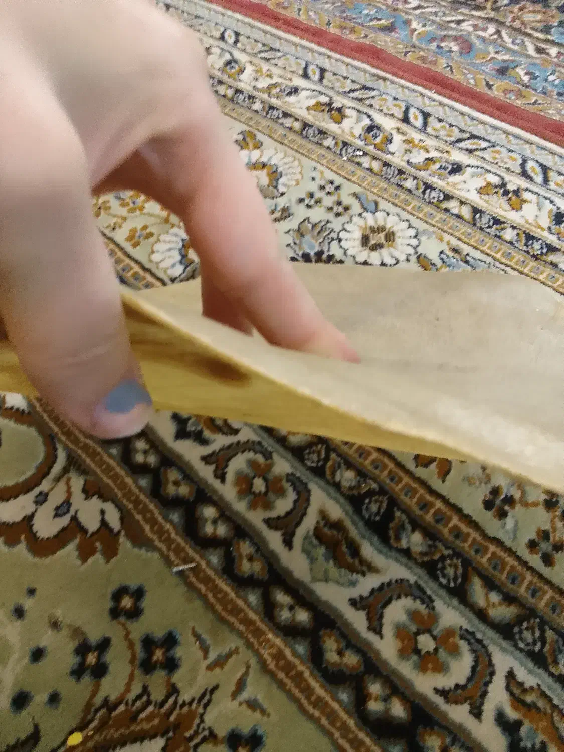 کاور چرم تنبک و طبل   چرم بز|سازهای سنتی|بابل, |دیوار