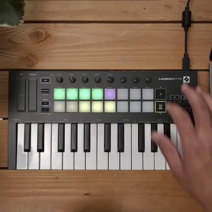 میدی کیبورد کنترلر novation launchkey mini mk3|پیانو، کیبورد، آکاردئون|اصفهان, شاهزید|دیوار