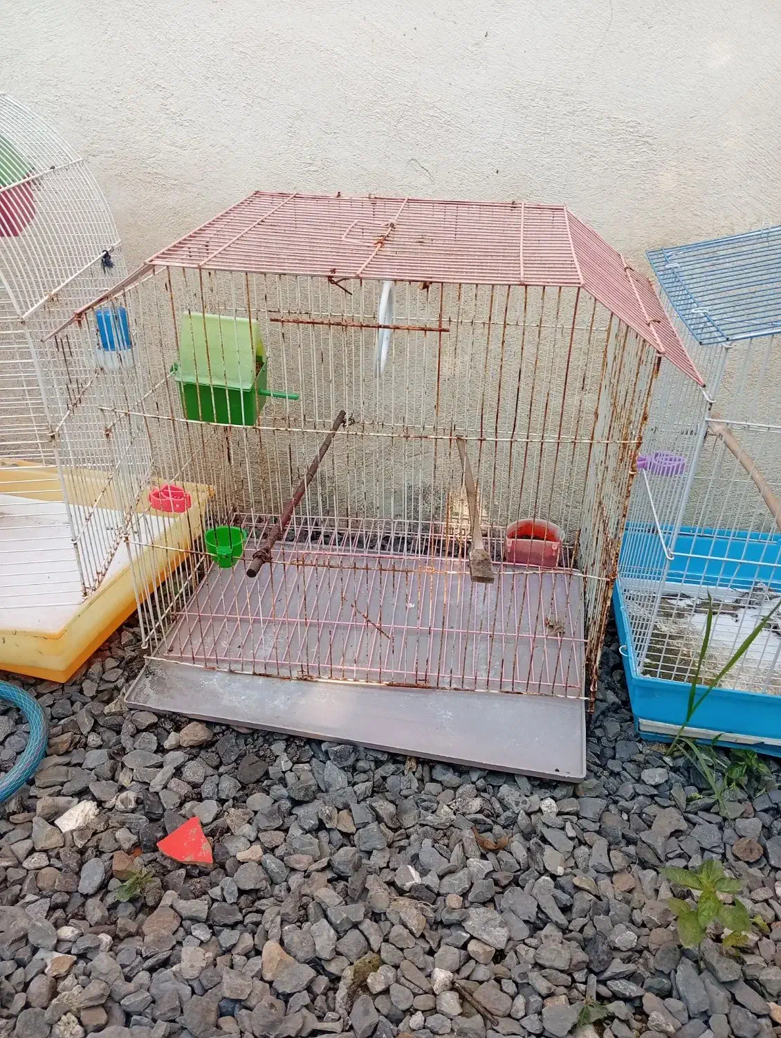 قفس پرنده|لوازم جانبی حیوانات|چمستان, |دیوار