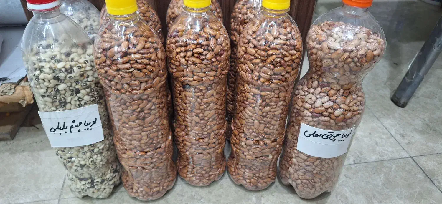 فروش  لوبیا محلی برای کاشت قیمت مناسب|خوردنی و آشامیدنی|لاهیجان, امیرشهید|دیوار