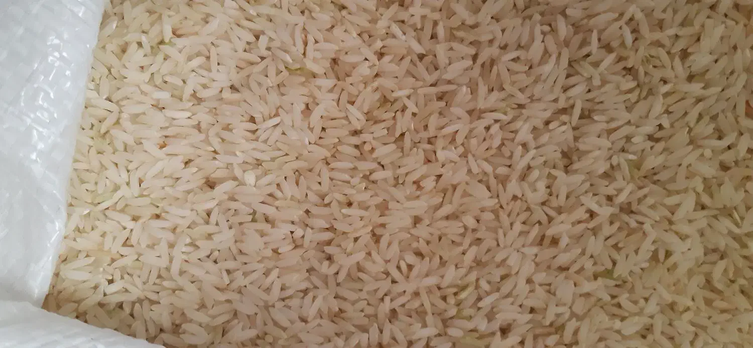 برنج‌علی‌کاظمی ساله‌اول‌|خوردنی و آشامیدنی|بروجرد, |دیوار