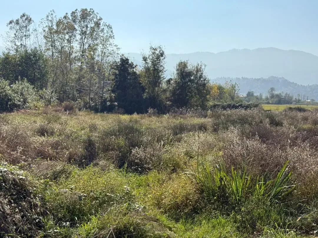 3هزار متری بهترین زمین برای باغ ویلا|فروش زمین و ملک کلنگی|لاهیجان, آهندان|دیوار