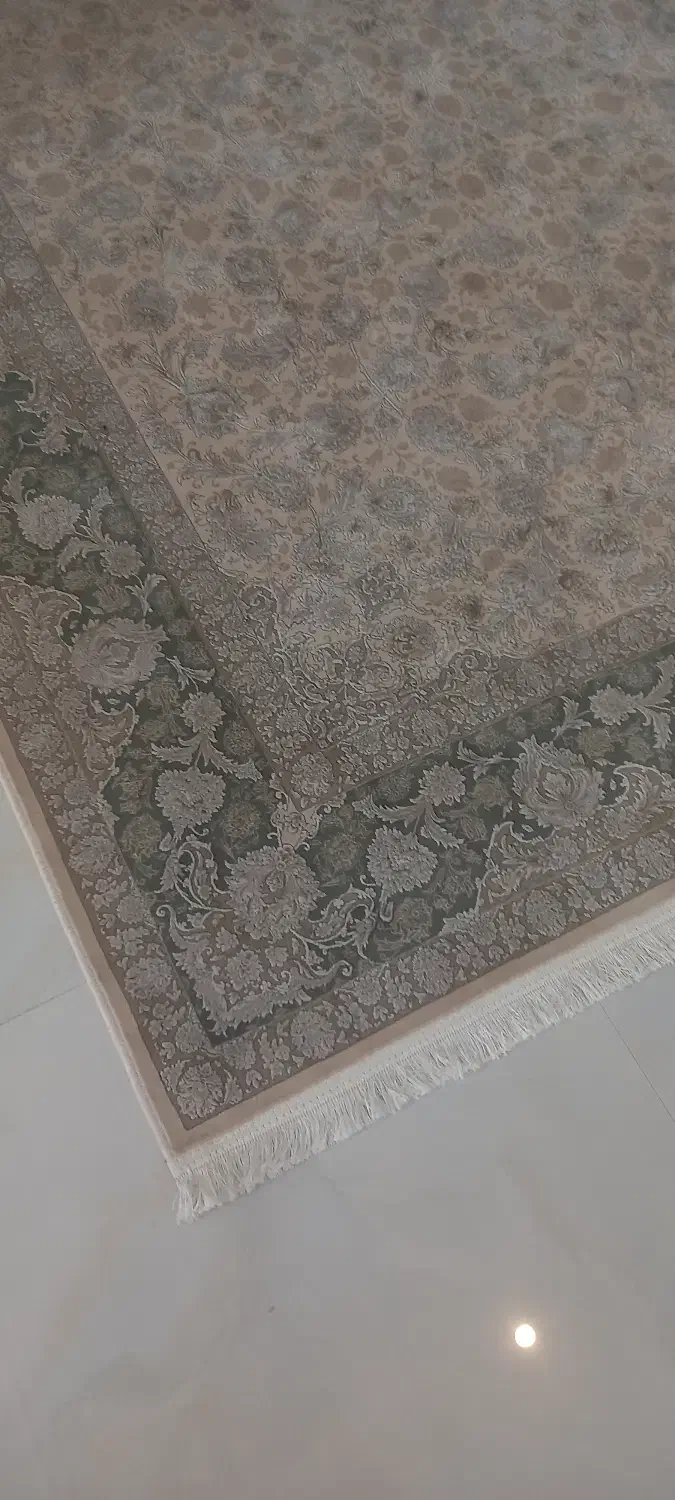 فرش|فرش|دامغان, |دیوار