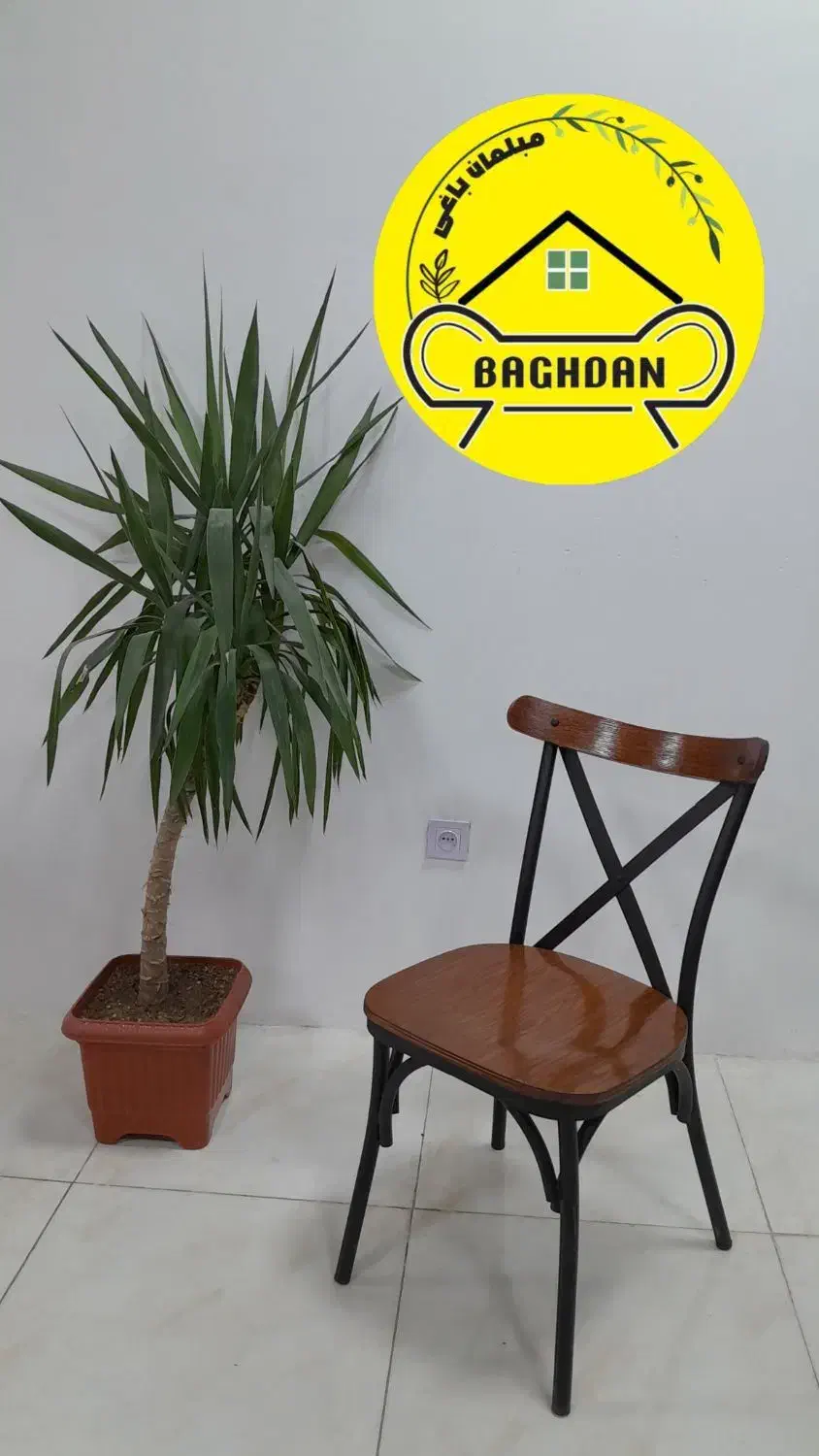 صندلی لهستانی کافه پلاستیکی میز ۹۰ در ۹۰ باغدان|میز و صندلی غذاخوری|چهارباغ, |دیوار