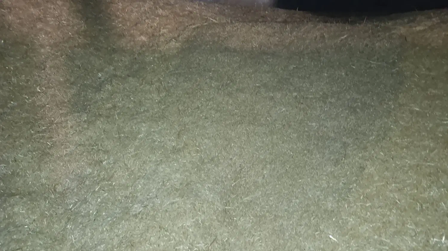 کاه آبی ودیم|لوازم جانبی حیوانات|خرمآباد, |دیوار