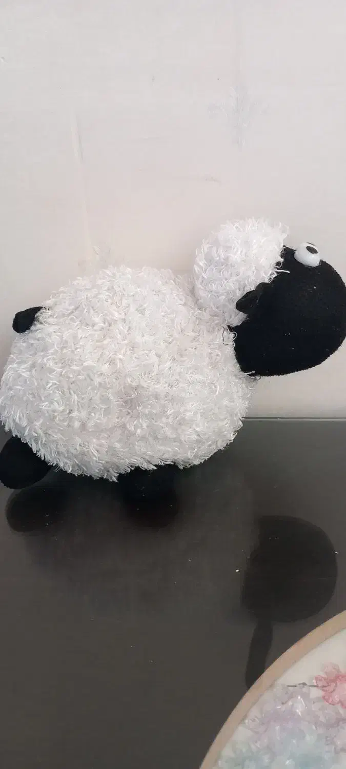 عروسک گوسفند|اسباببازی بچه|اردکان, |دیوار