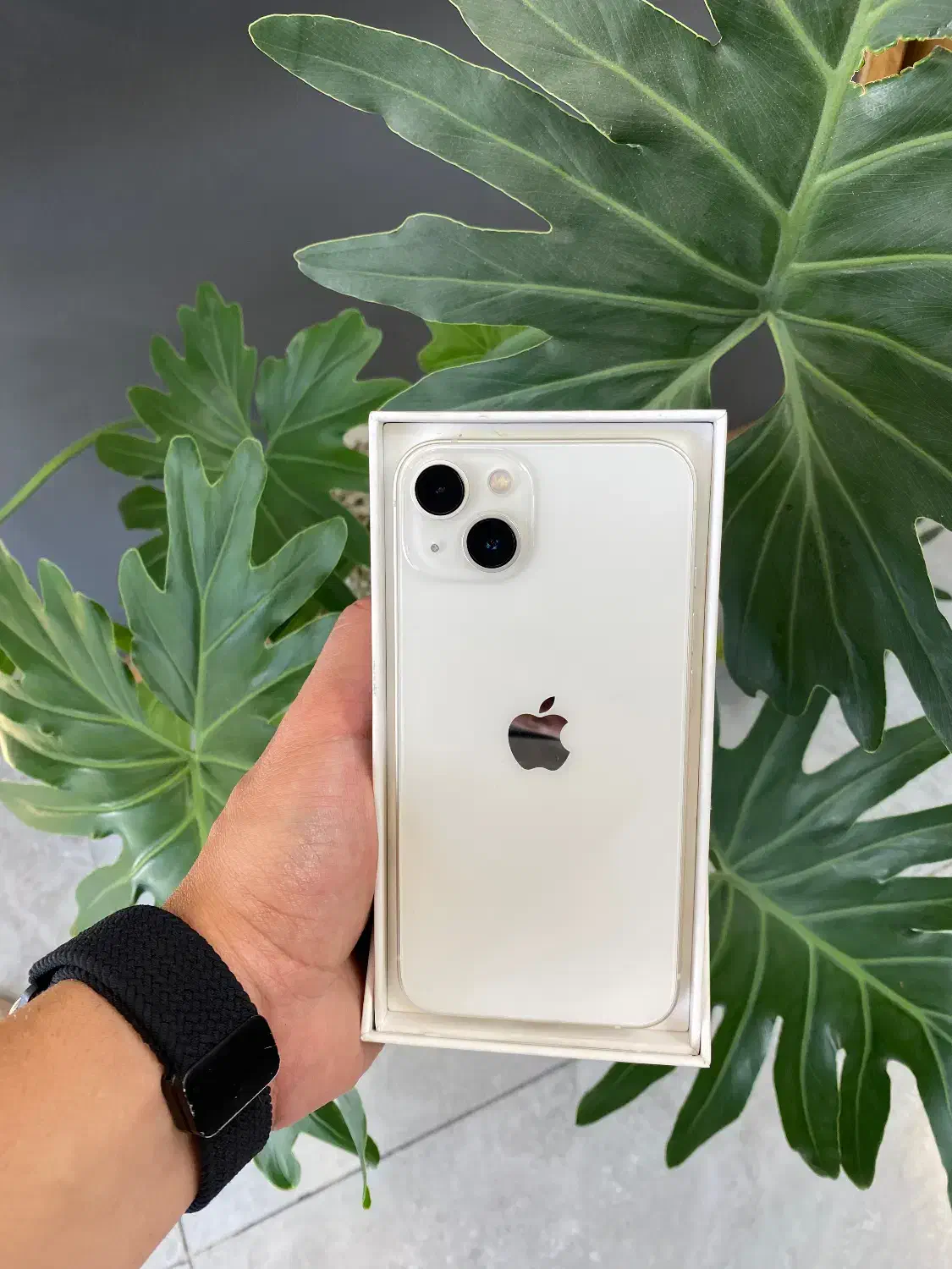 iphone 13 128/ch|موبایل|تهران, نیاوران|دیوار