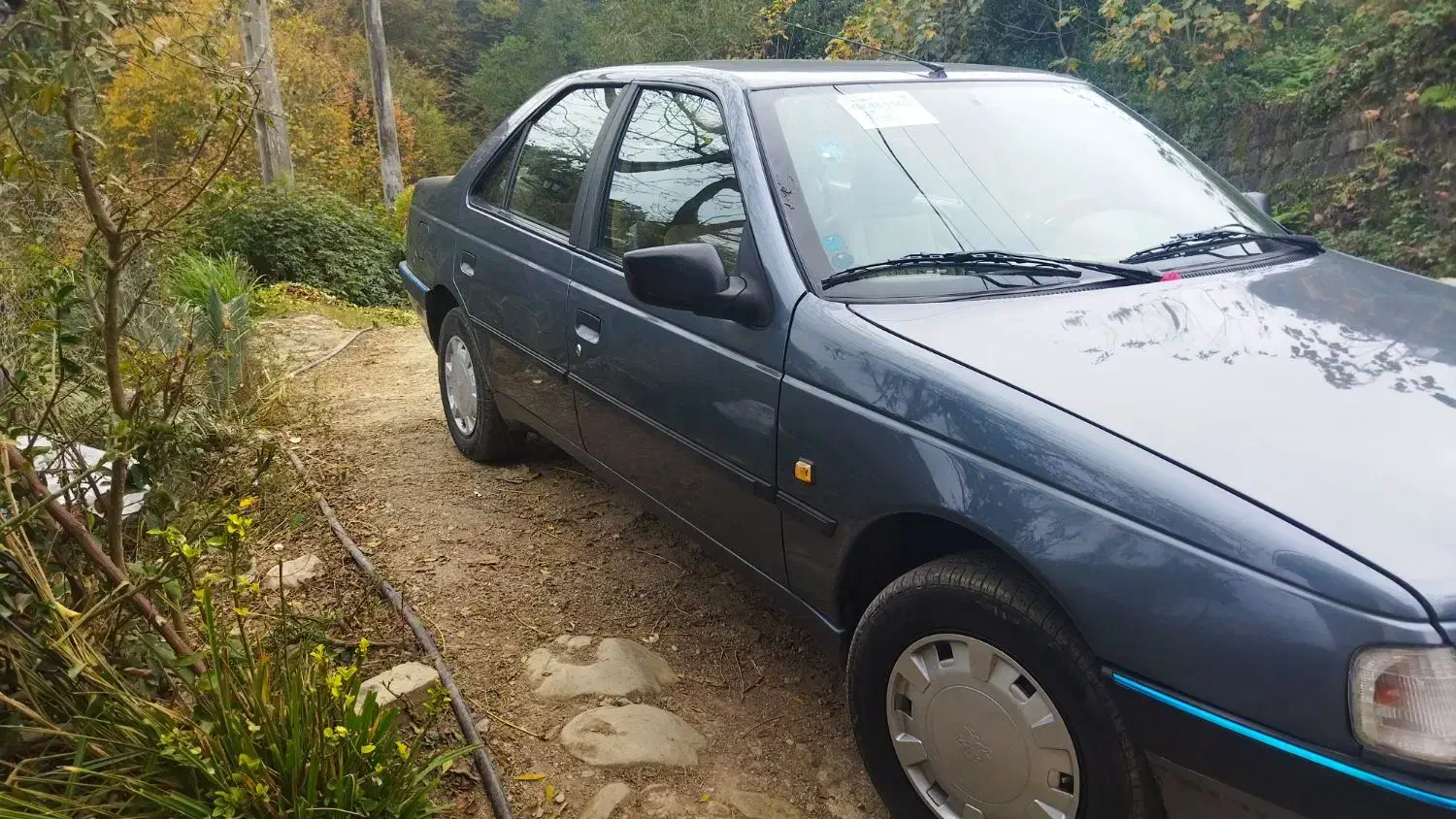 فروش پژو ۴۰۵ وودل ۹۵ بیرنگ|خودرو سواری و وانت|رامسر, |دیوار