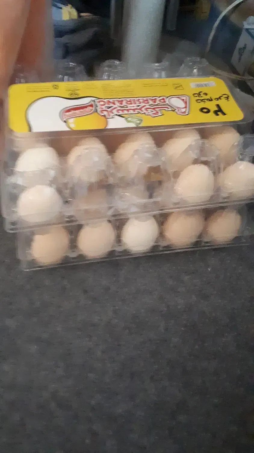 تخم مرغ نطفه دار از بهترین مولدها۳۷عدد|حیوانات مزرعه|شیراز, آزادگان|دیوار