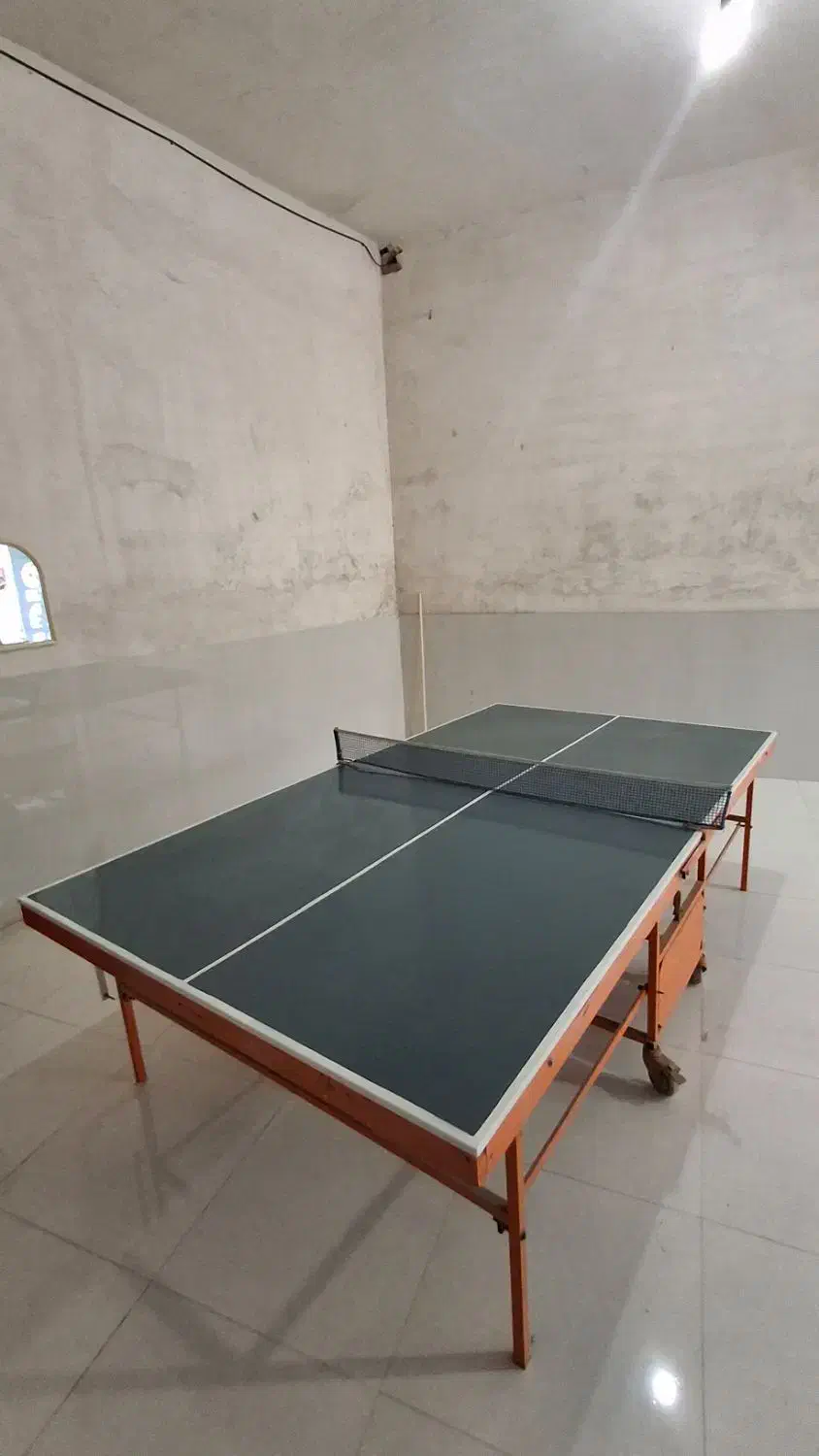 پینگ پنگ|ورزش‌های توپی|پارس‌آباد, |دیوار