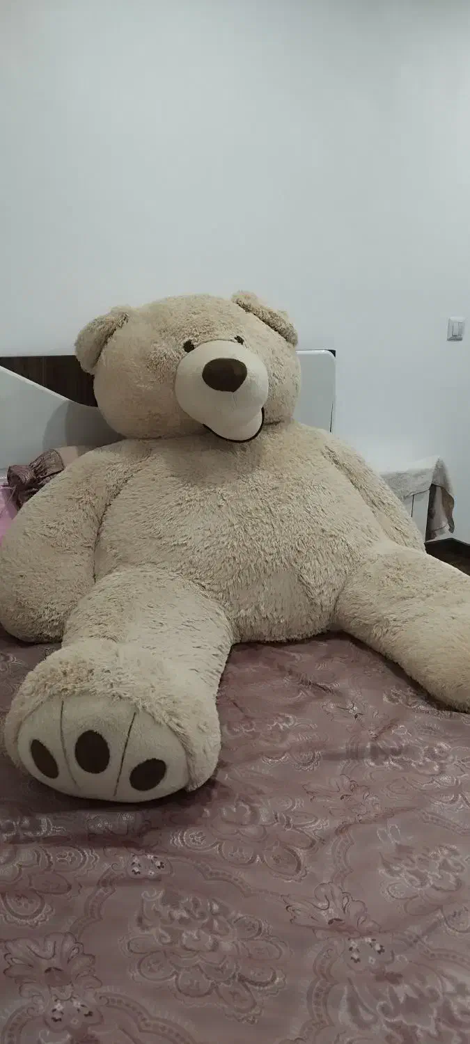 عروسک بزرگ خرس|اسباب‌‌بازی|ساری, |دیوار