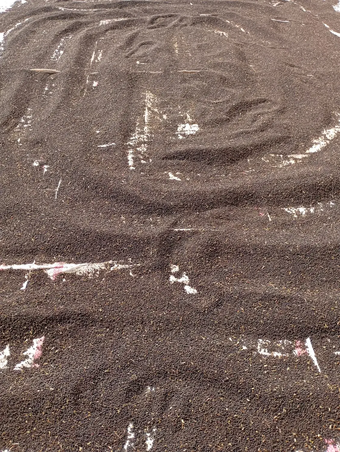 بذرکلزا هیولا50 دستی|گل و گیاه طبیعی|کلاله, |دیوار