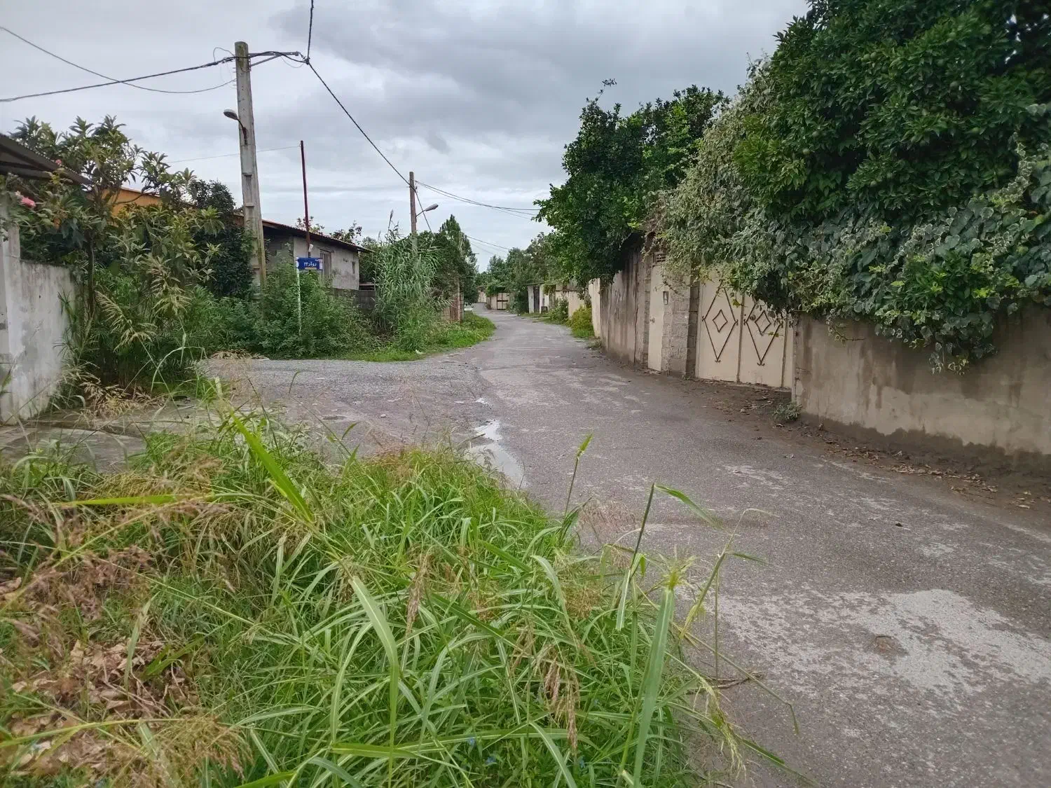 فروش زمین. داخل بافت ۲۰۰متری.|فروش زمین و ملک کلنگی|آمل, |دیوار