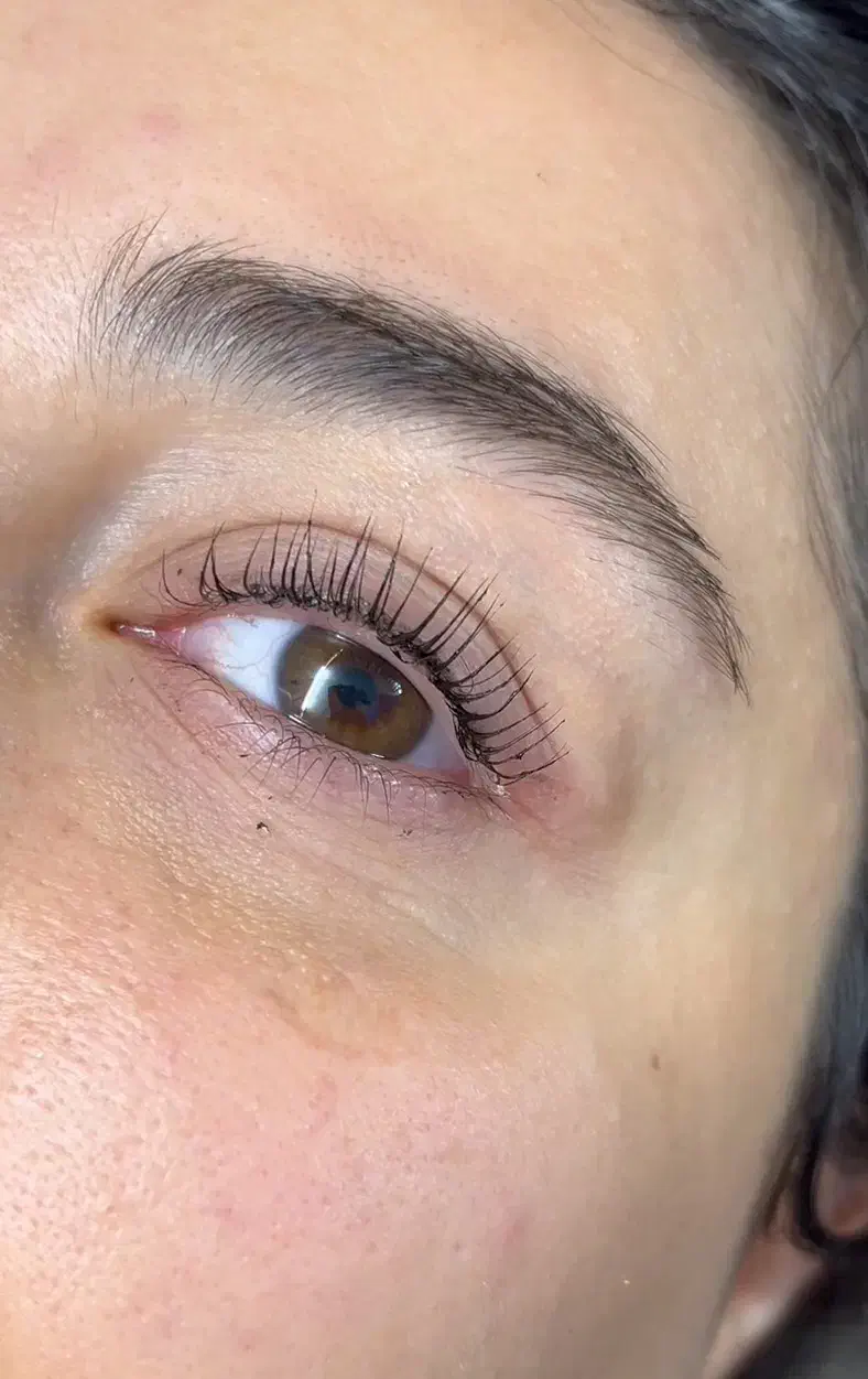 جشنواره اموزشی لیفت و لمینت مژه و ابرو|خدمات آموزشی|اصفهان, پروین|دیوار