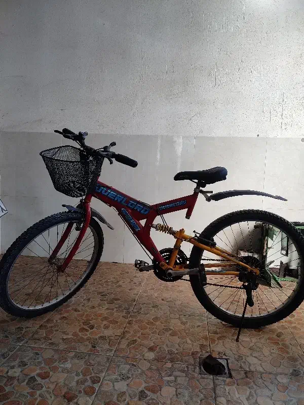 فروش دوچرخه|دوچرخه، اسکیت، اسکوتر|اطاقور, |دیوار