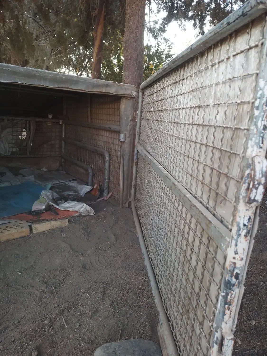 اتاق مزدا دوکابین ۱۰ ملیون|قطعات یدکی و لوازم جانبی|جوین, |دیوار