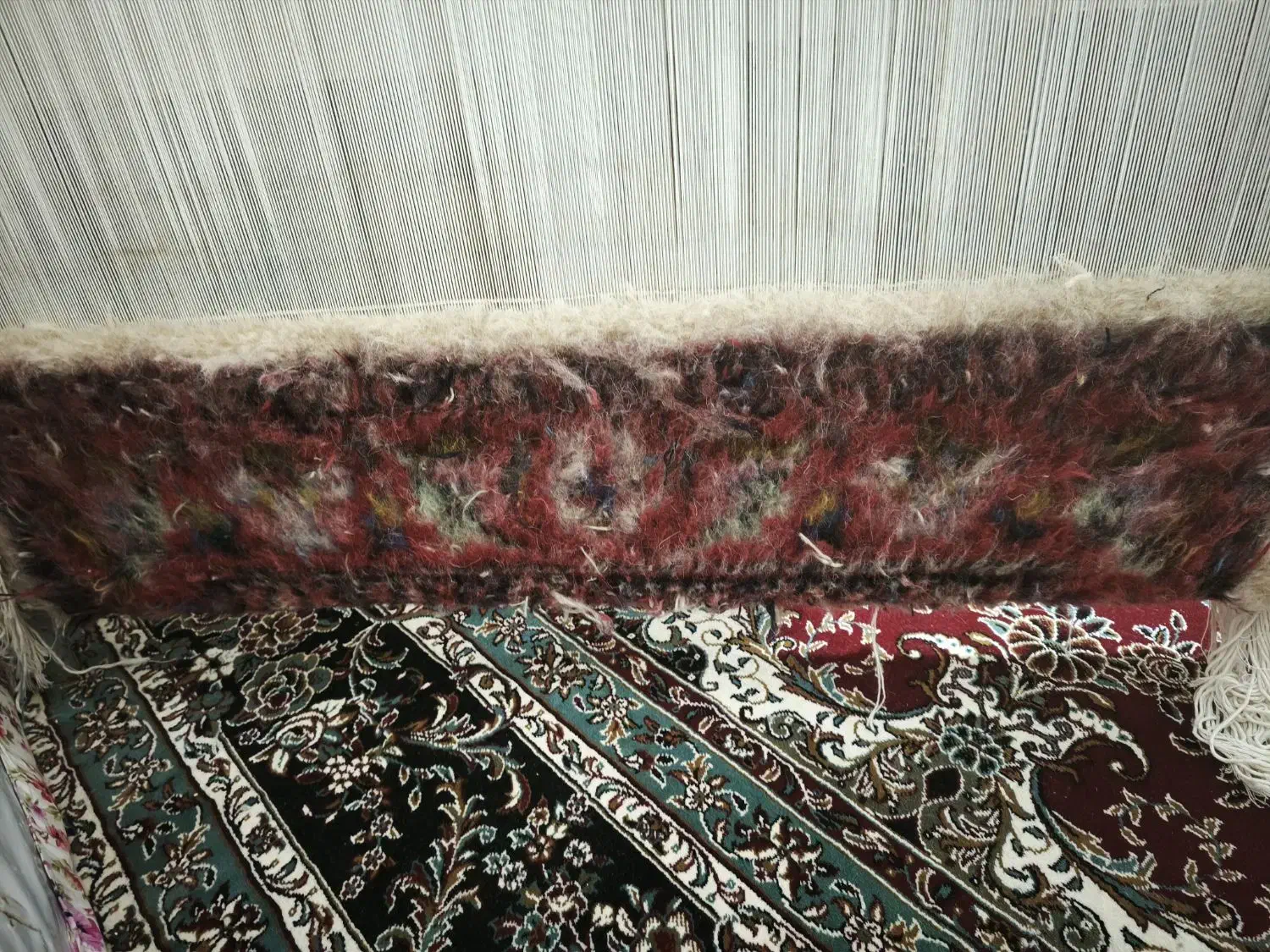 فرش زرنیم با دار|فرش|اردبیل, |دیوار