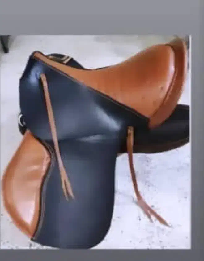 مبل میخوای فقط همین زین|اسب و تجهیزات اسب‌سواری|امامزاده عبدالله, |دیوار