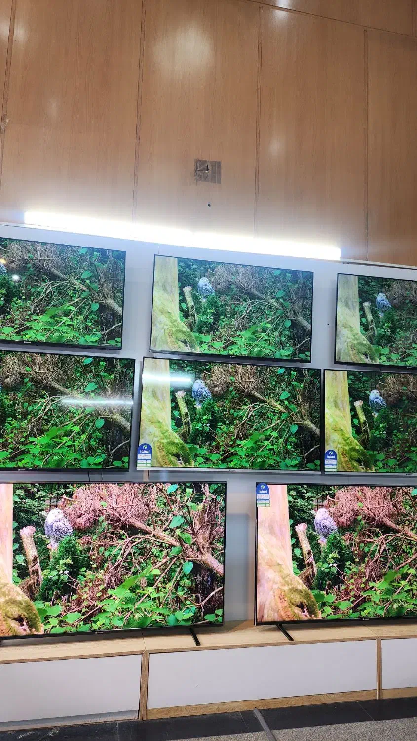 جشنواره تلویزیون های اسنوا|تلویزیون و پروژکتور|زنجان, |دیوار