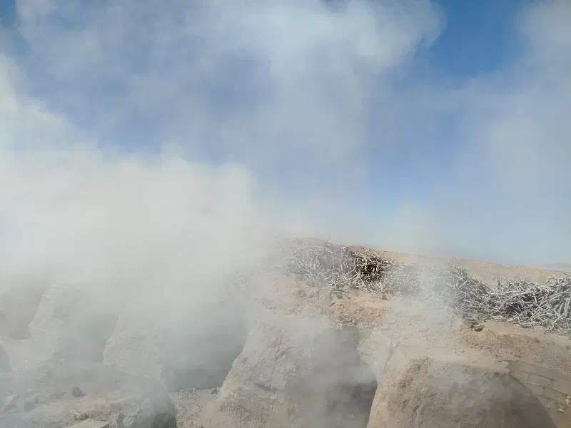 چوب خشک|خدمات باغبانی و درختکاری|یزدان شهر, |دیوار