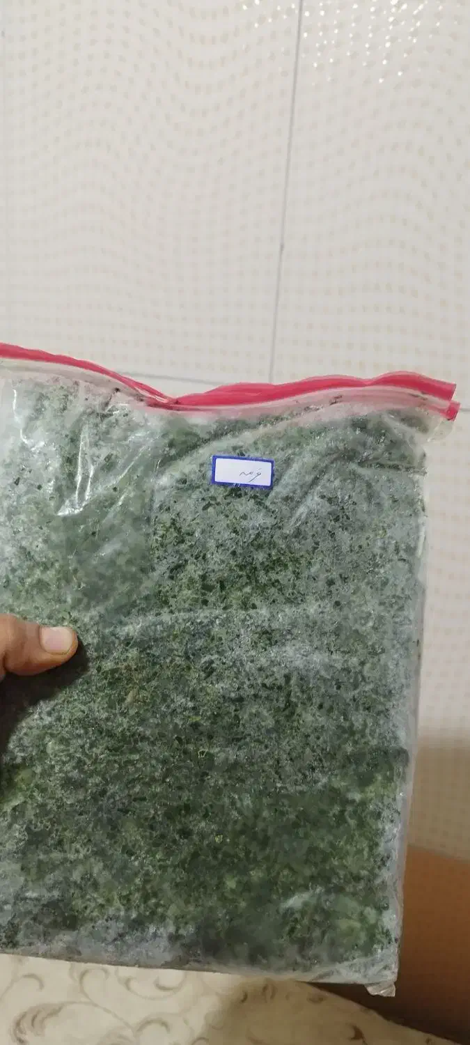 لیته بادمجان و بادمجان لقمه ای وسبزی قرمه|خوردنی و آشامیدنی|گالیکش, |دیوار