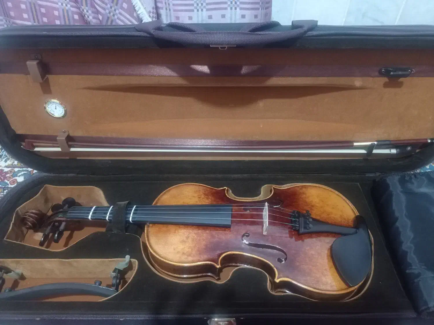 ویولن|ویولن|کرمان, |دیوار