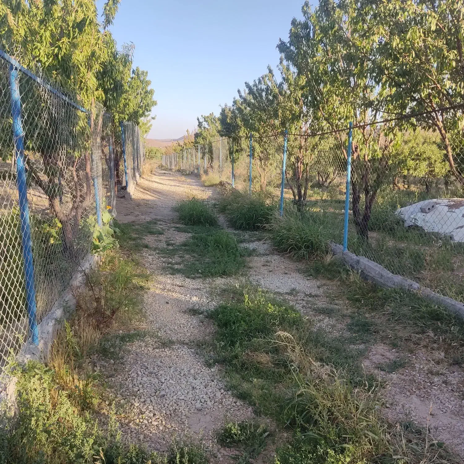 باغ فنس کشی شده|فروش خانه و ویلا|سامان, |دیوار