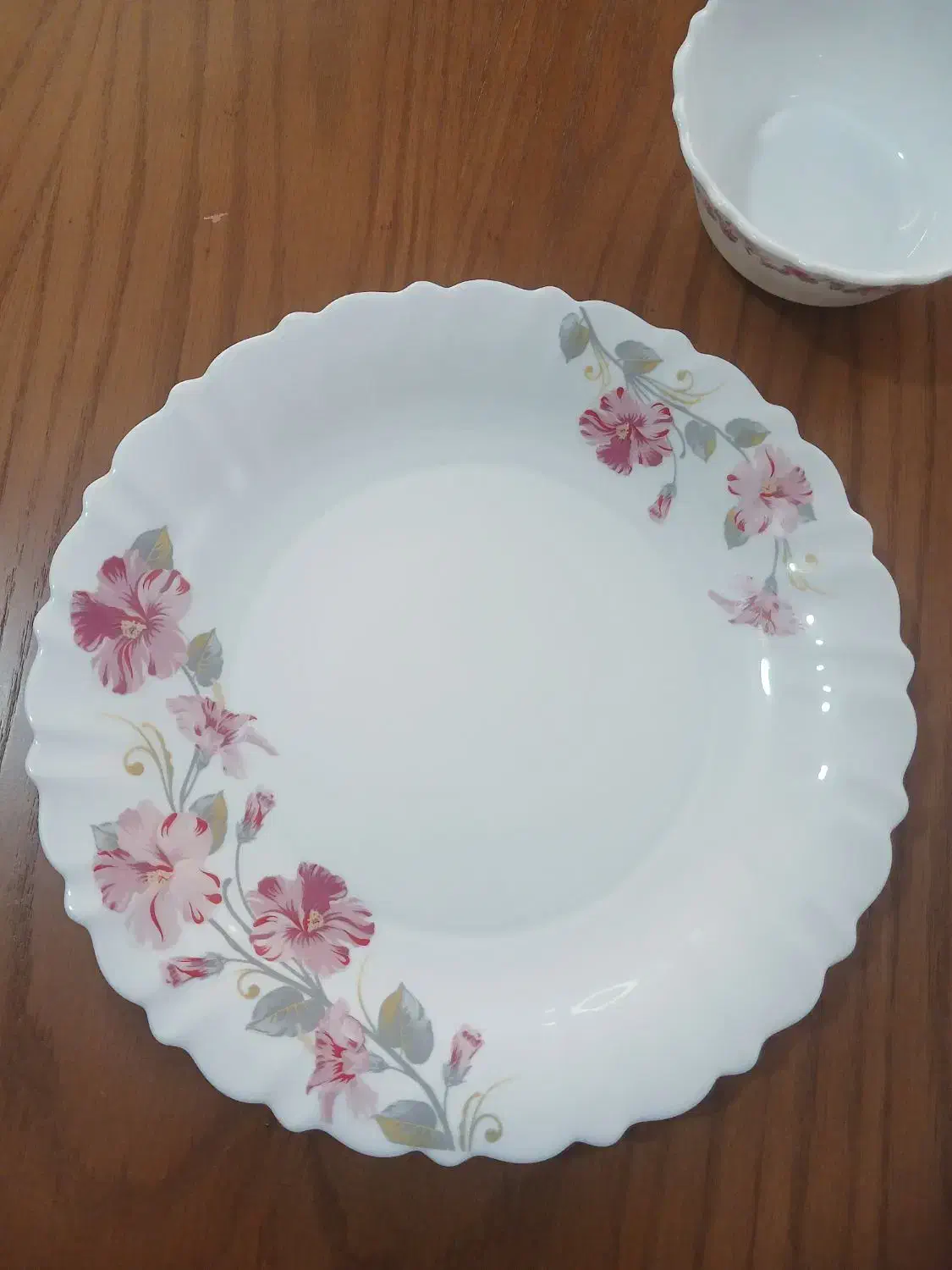 سرویس ارکوپال|ظروف سرو و پذیرایی|دورود, |دیوار