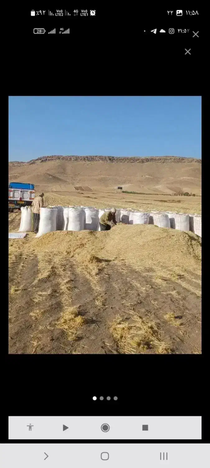 کاه درجه یک چناران|عمده‌فروشی|چناران, |دیوار