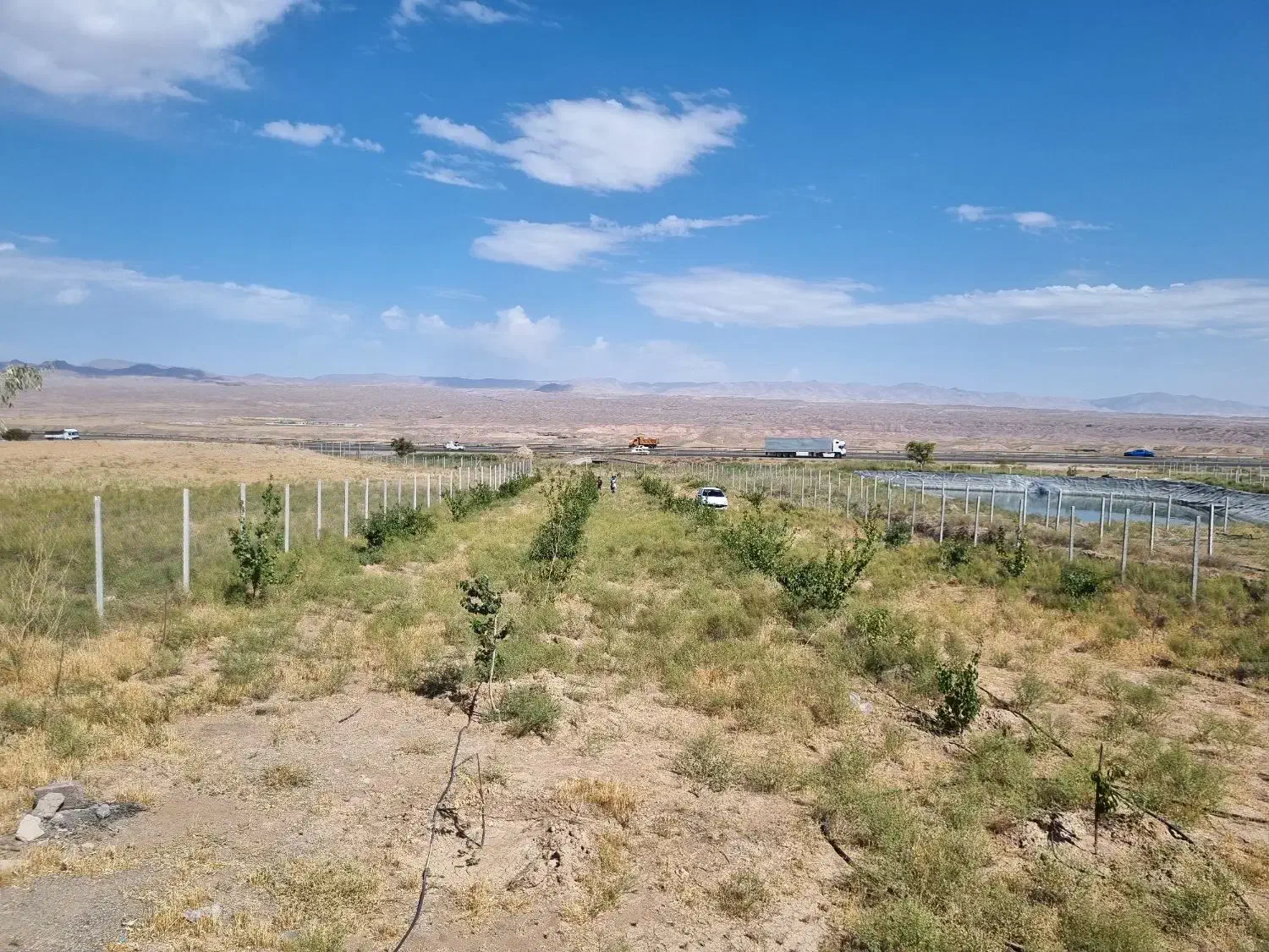 فروش باغ زیبا و آینده دار|فروش زمین و ملک کلنگی|زنجانرود, |دیوار