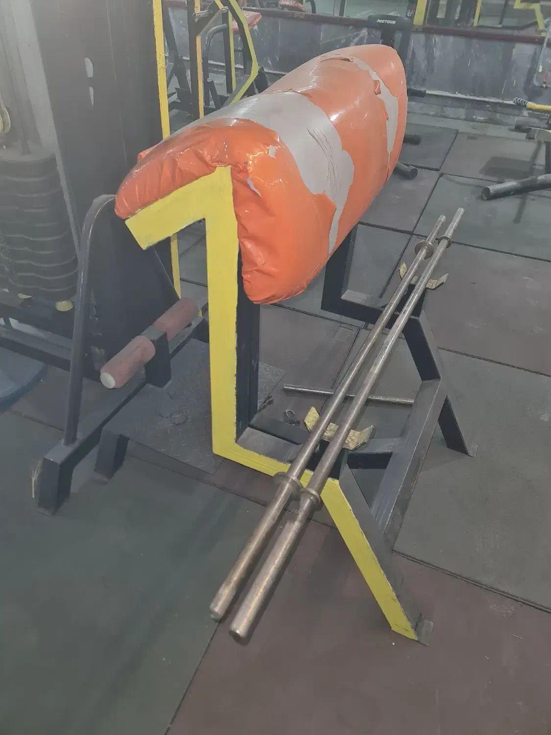 تجهیزات ورزشی|تجهیزات ورزشی|ایلخچی, |دیوار