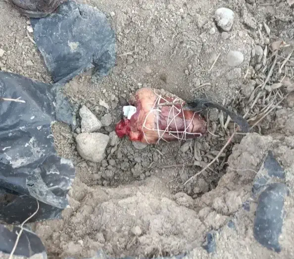 دعا نویس و کتب الدعا مجرب|خدمات پذیرایی، مراسم|برازجان, |دیوار