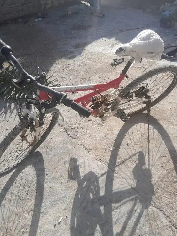 دوچرخه|دوچرخه، اسکیت، اسکوتر|قشم, |دیوار